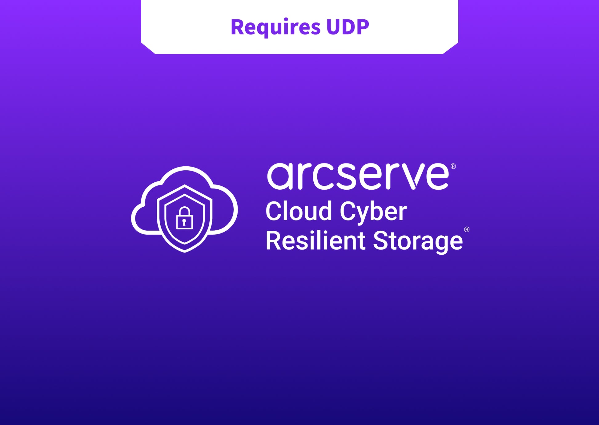 Arcserve Cloud Cyber Resilient Storage - 3 Year