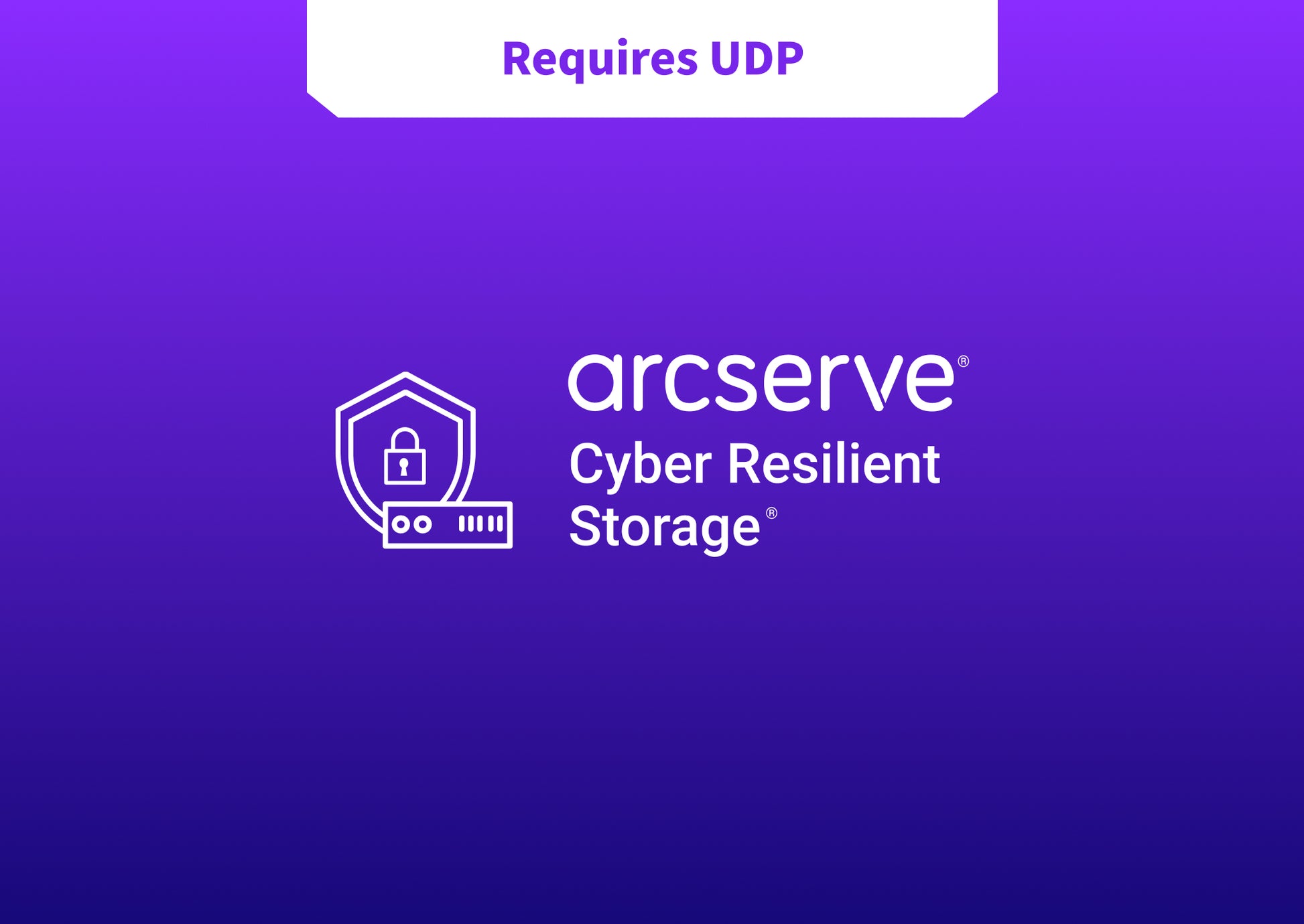 Arcserve Cyber Resilient Storage - 3 Year